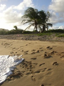 Vieques Island